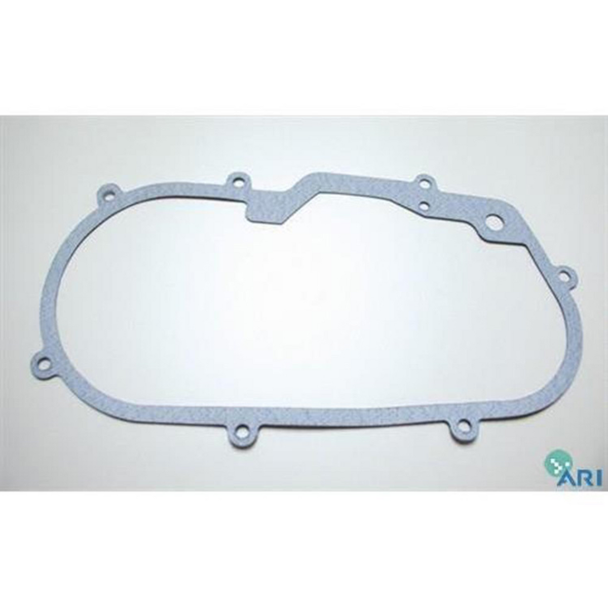 SPI CHAIN CASE SEAL