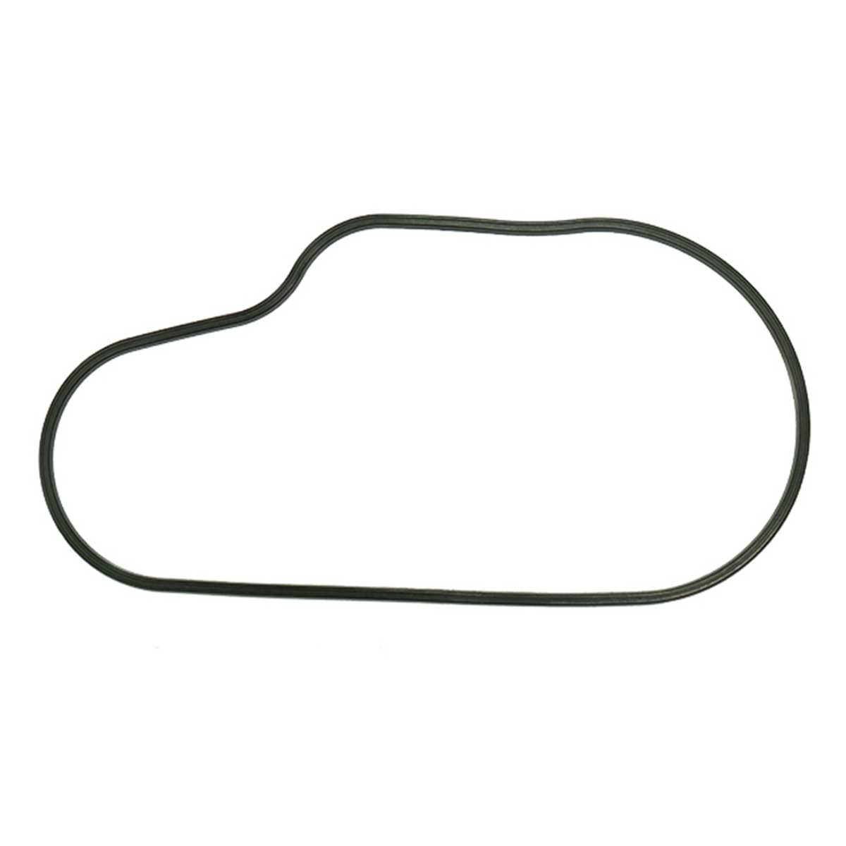 SPI CHAINCASE GASKET