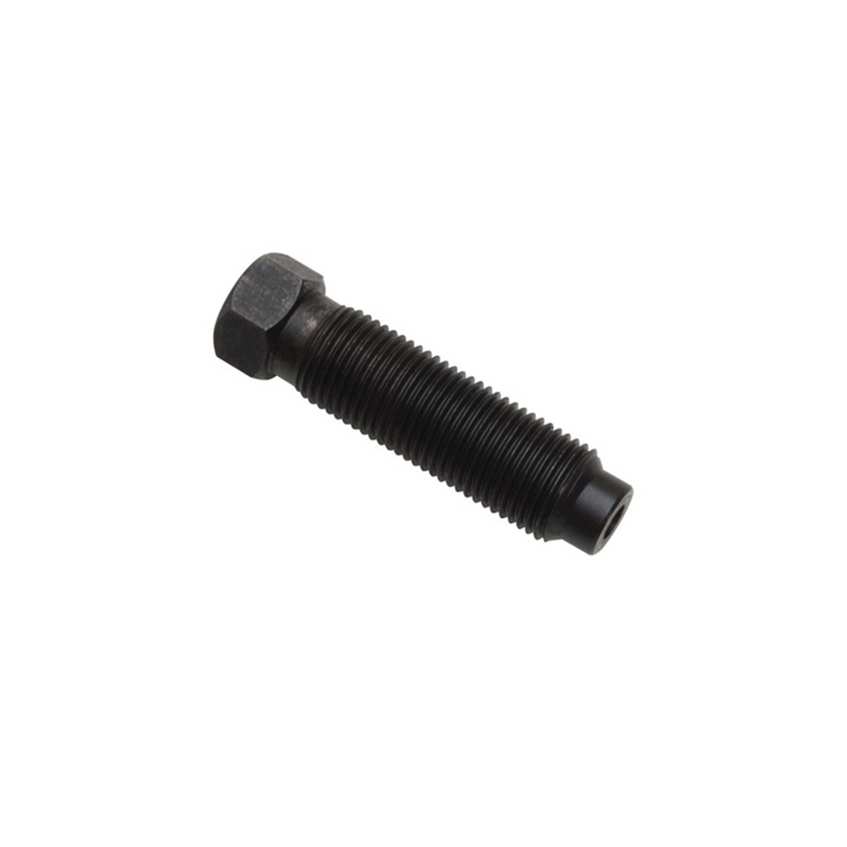 PBR BODY BOLT