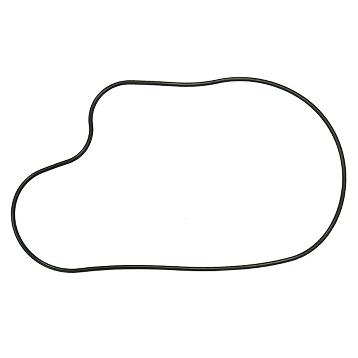 SPI CHAINCASE GASKET