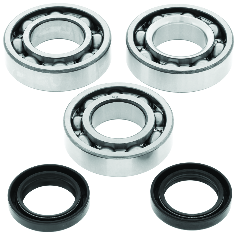 QuadBoss 94-95 Polaris 300 2x4/4x4 Crankshaft Bearing &amp; Seal Kit