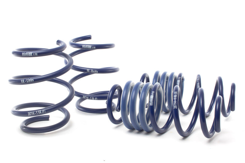 H&amp;R 17-21 Honda Civic Type-R FK8 Sport Spring