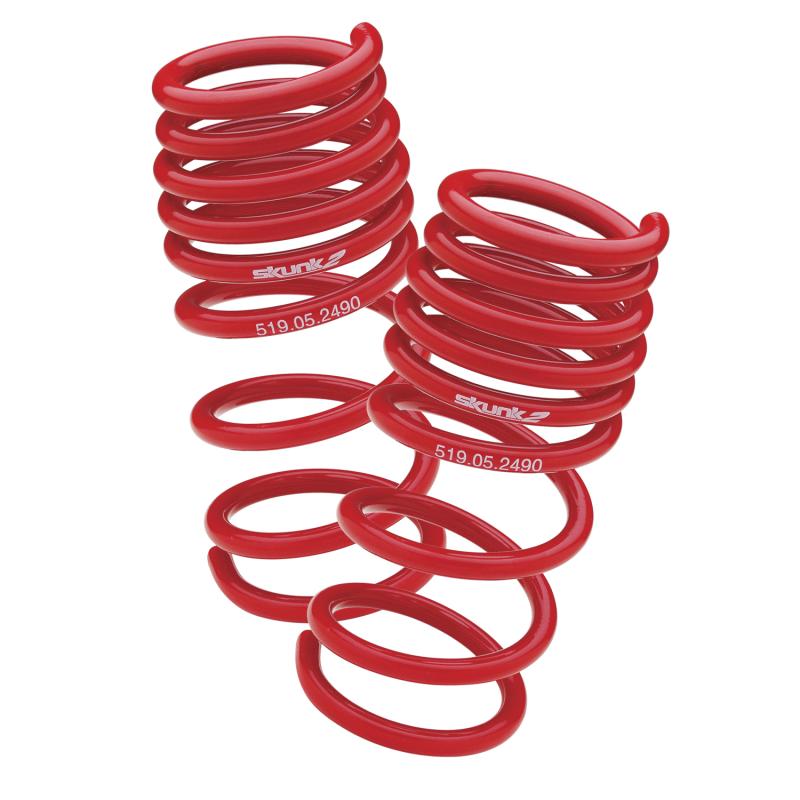 Skunk2 92-95 Honda Civic/Del Sol Lowering Springs (2.50in - 2.25in.) (Set of 4)