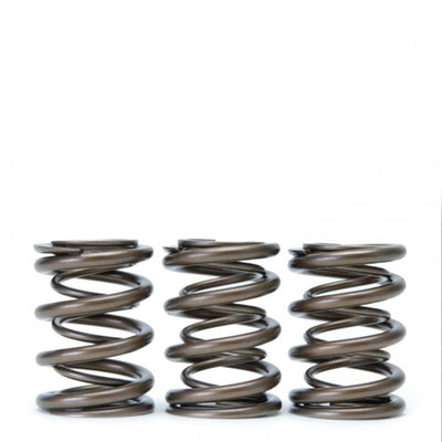 Skunk2 Tuner Series Honda/Acura (H22A/F20B) DOHC VTEC Alpha Valve Spring Set (Dual Springs)