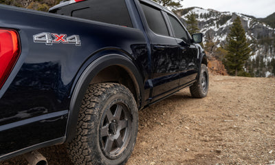 Bushwacker 2019 Ford Ranger Extended Cab / Crew Cab Pickup OE Style Fender Flares 4pc - Black