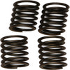 EBC CLUTCH SPRINGS