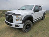 EGR 15+ Ford F150 Superguard Hood Shield - Matte (303475)